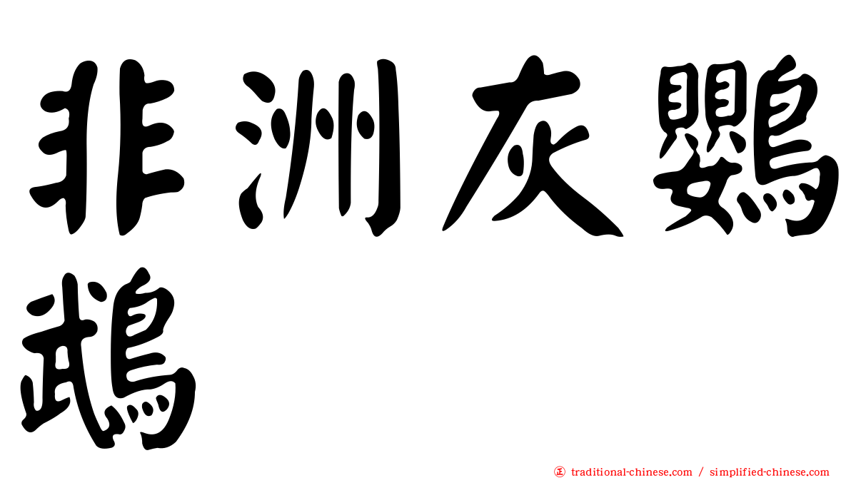 非洲灰鸚鵡