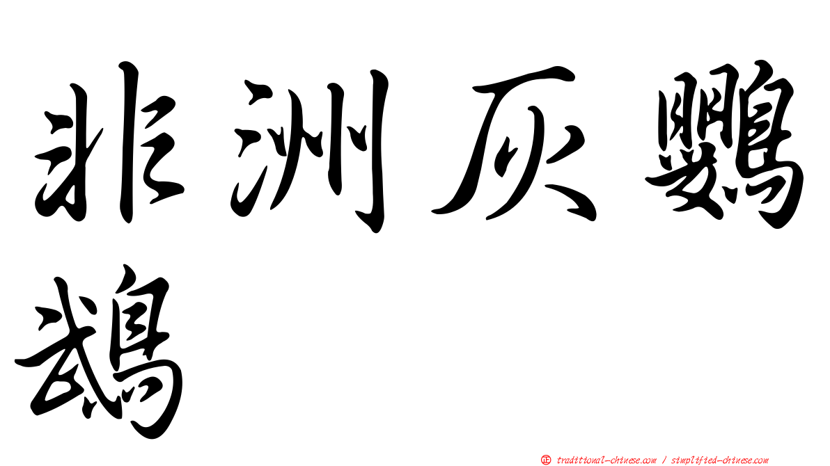 非洲灰鸚鵡