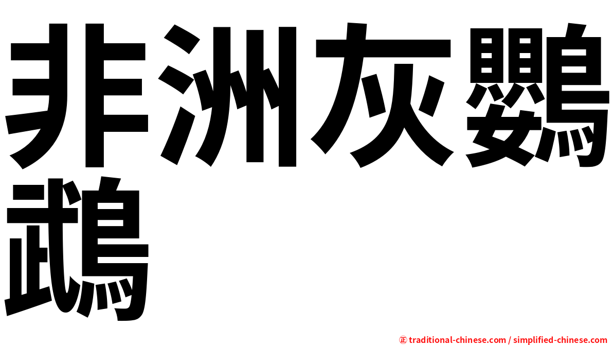 非洲灰鸚鵡
