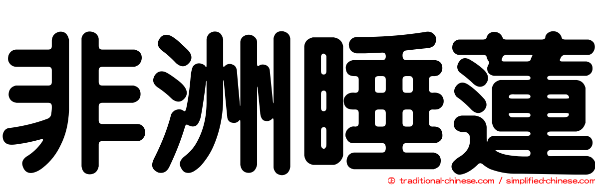 非洲睡蓮