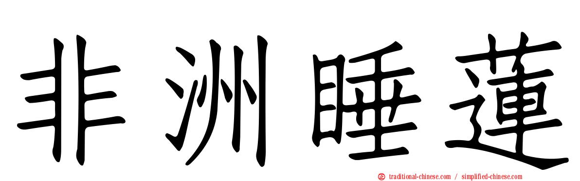 非洲睡蓮