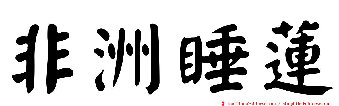 非洲睡蓮