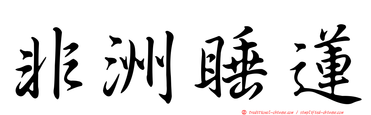 非洲睡蓮