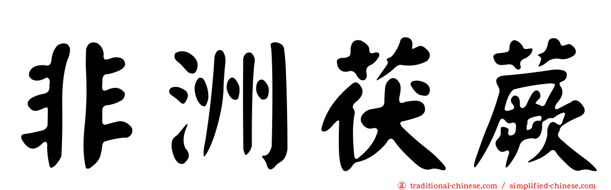 非洲茯蕨