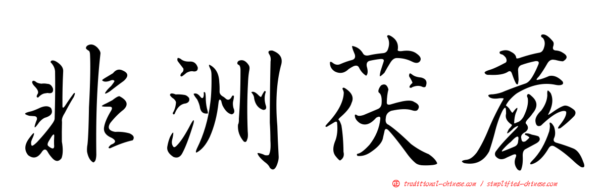 非洲茯蕨