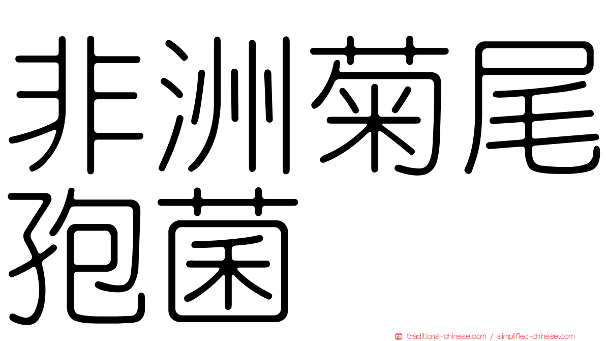 非洲菊尾孢菌
