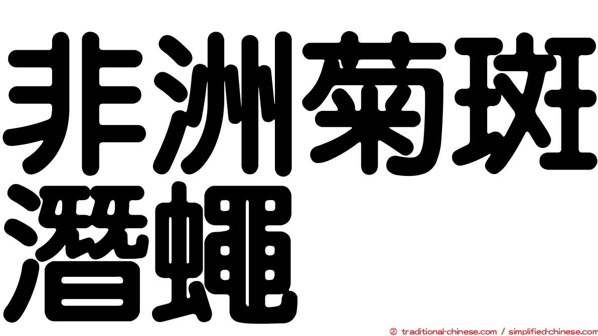 非洲菊斑潛蠅