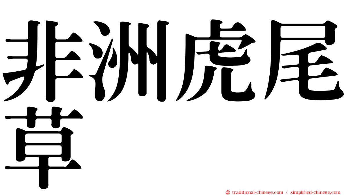 非洲虎尾草