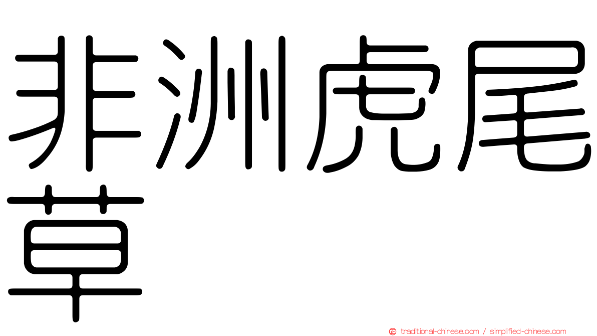非洲虎尾草