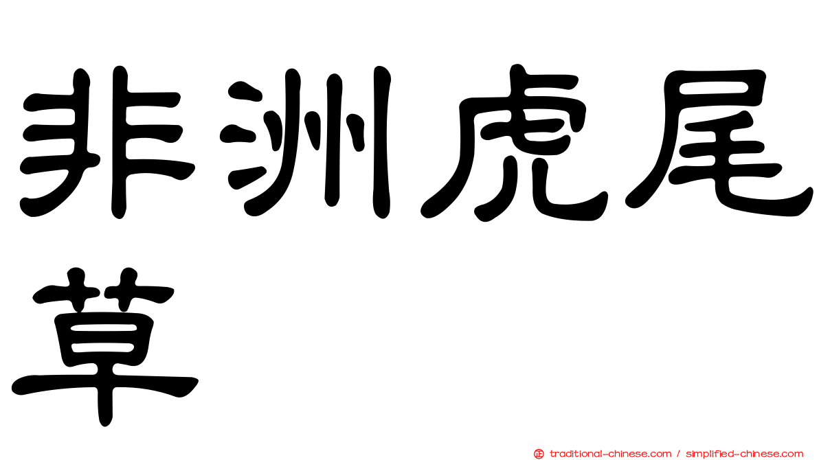 非洲虎尾草