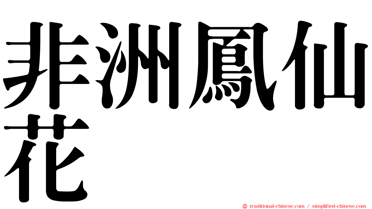 非洲鳳仙花