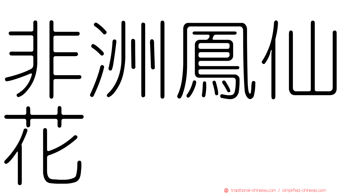 非洲鳳仙花