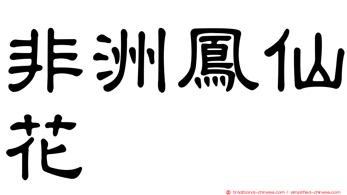 非洲鳳仙花