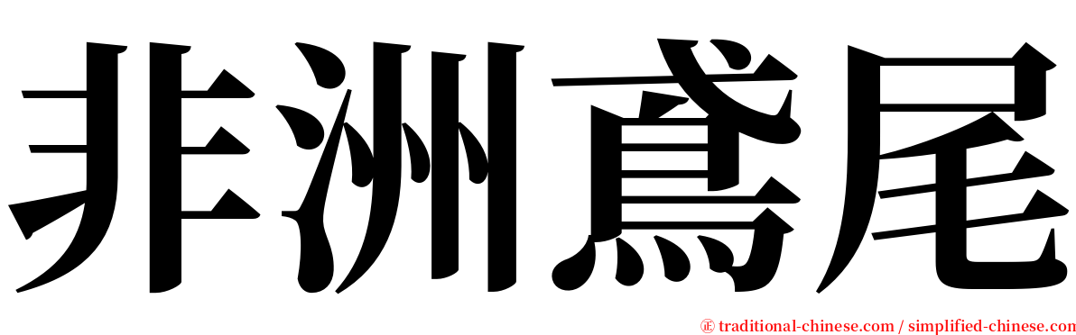 非洲鳶尾 serif font