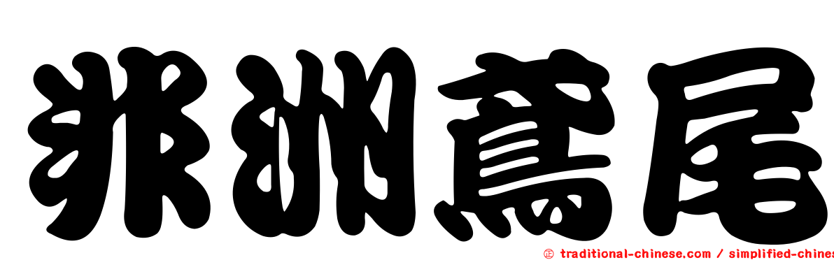 非洲鳶尾