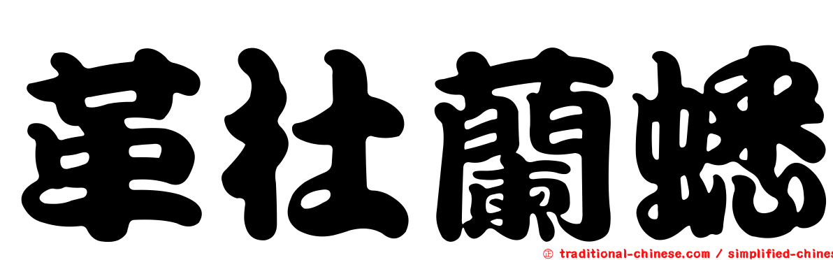 革杜蘭蟋