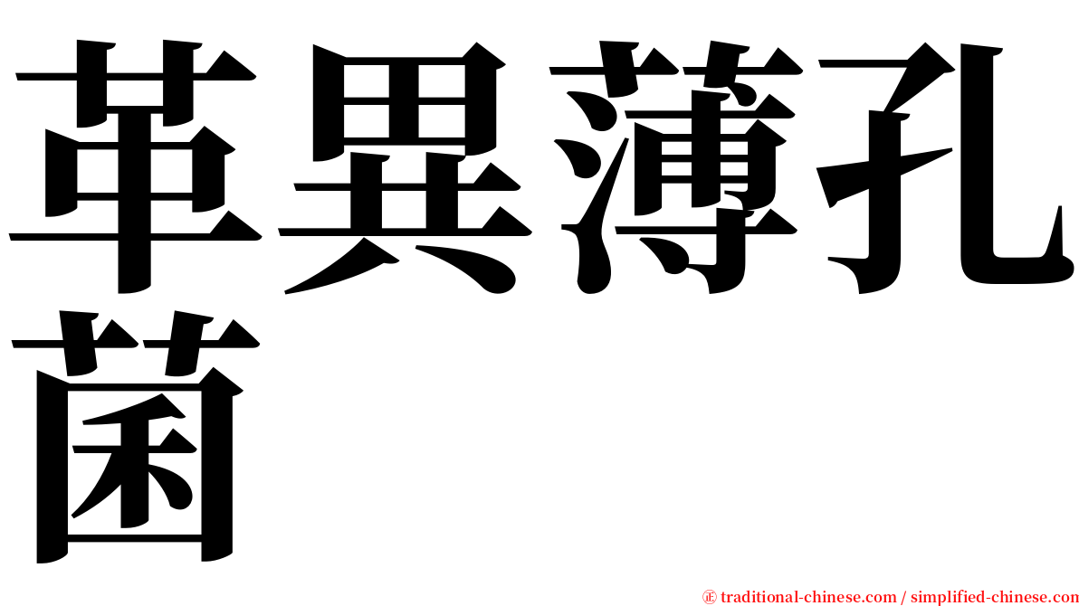 革異薄孔菌 serif font