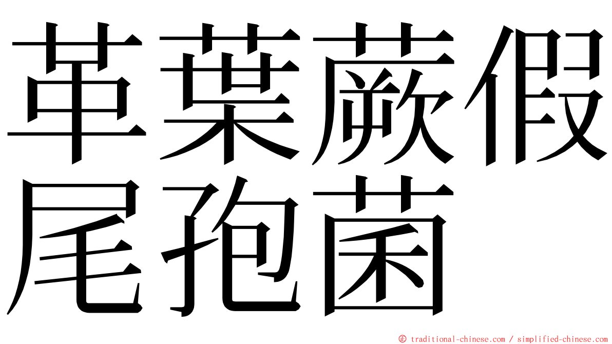 革葉蕨假尾孢菌 ming font