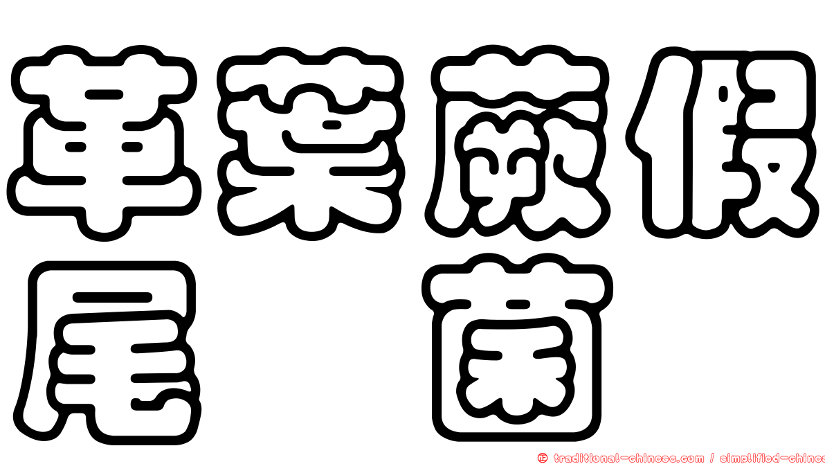 革葉蕨假尾孢菌