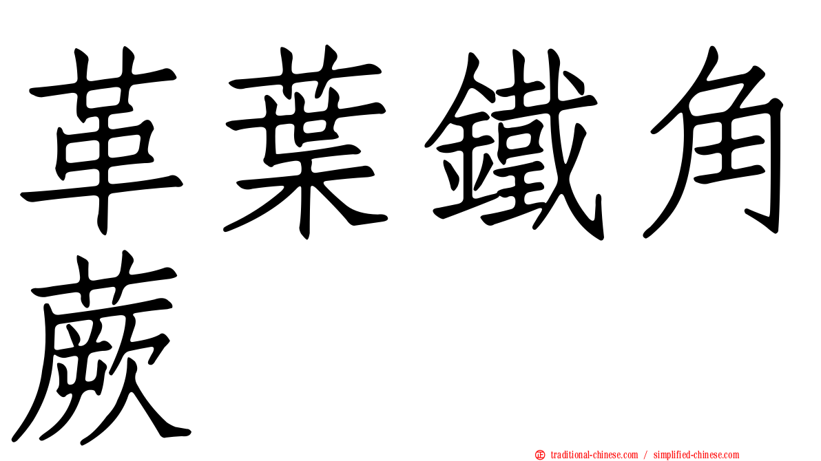 革葉鐵角蕨