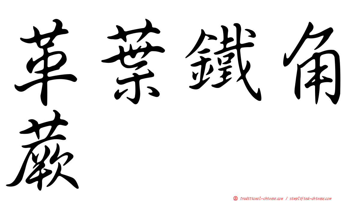 革葉鐵角蕨