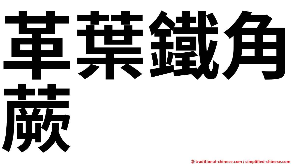 革葉鐵角蕨