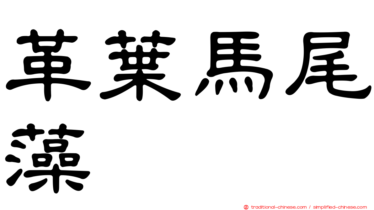 革葉馬尾藻