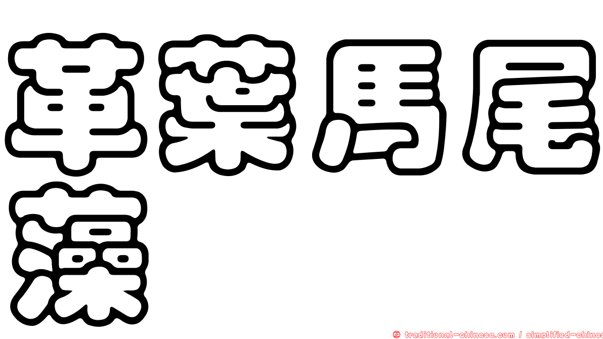 革葉馬尾藻