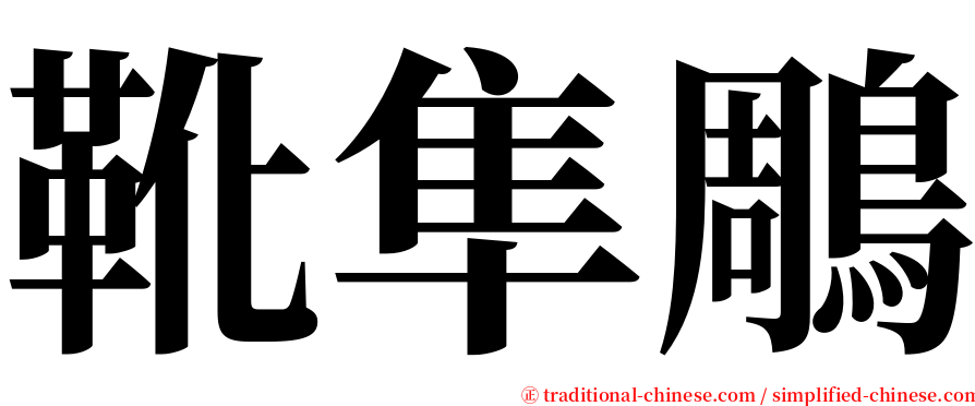 靴隼鵰 serif font