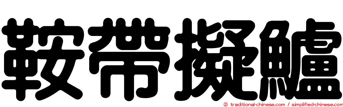 鞍帶擬鱸