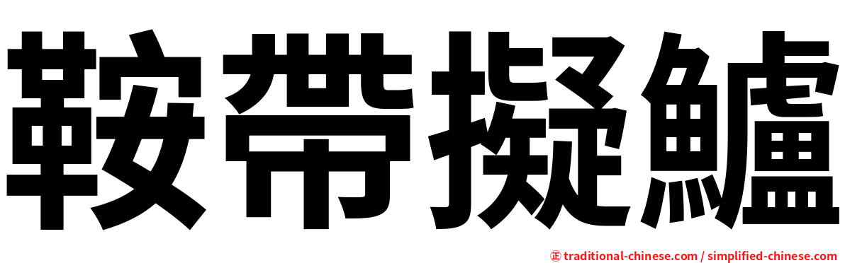 鞍帶擬鱸