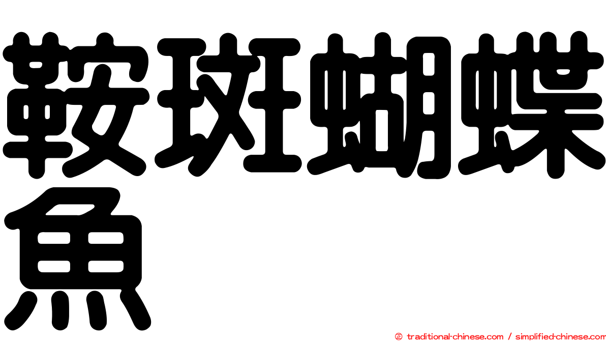 鞍斑蝴蝶魚