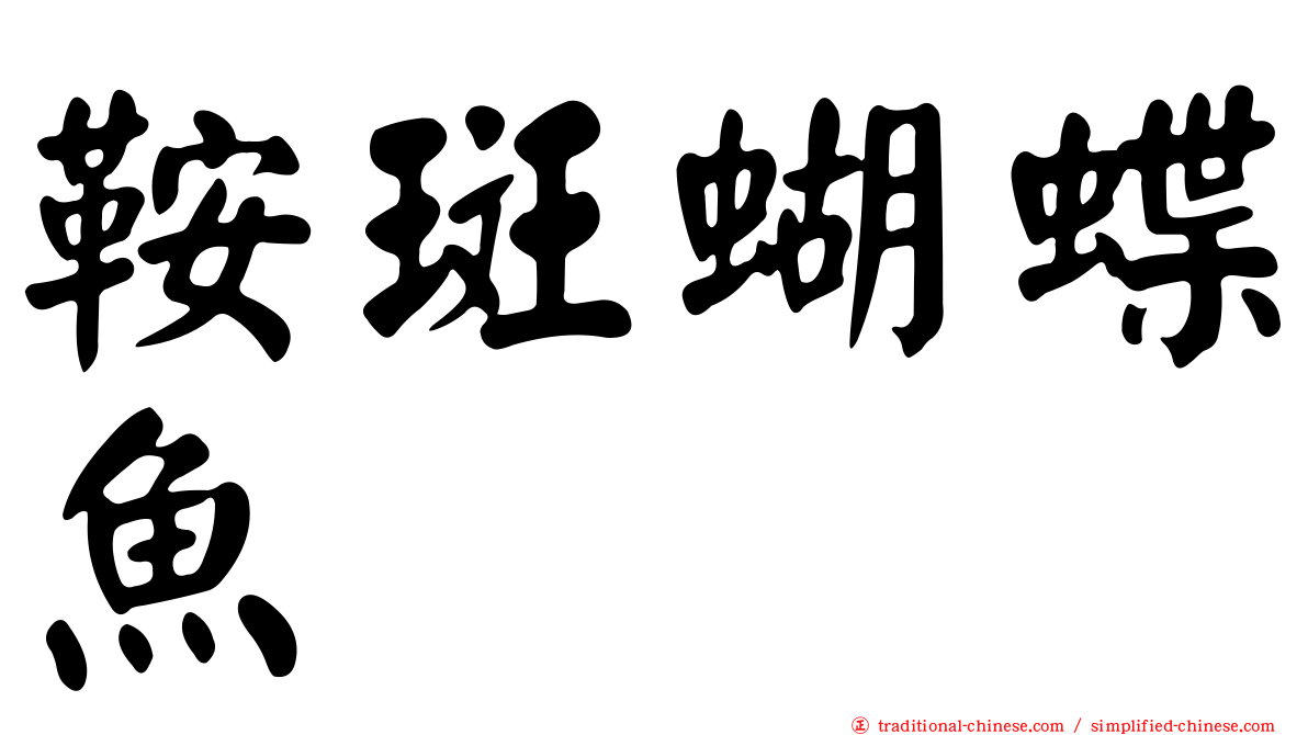 鞍斑蝴蝶魚