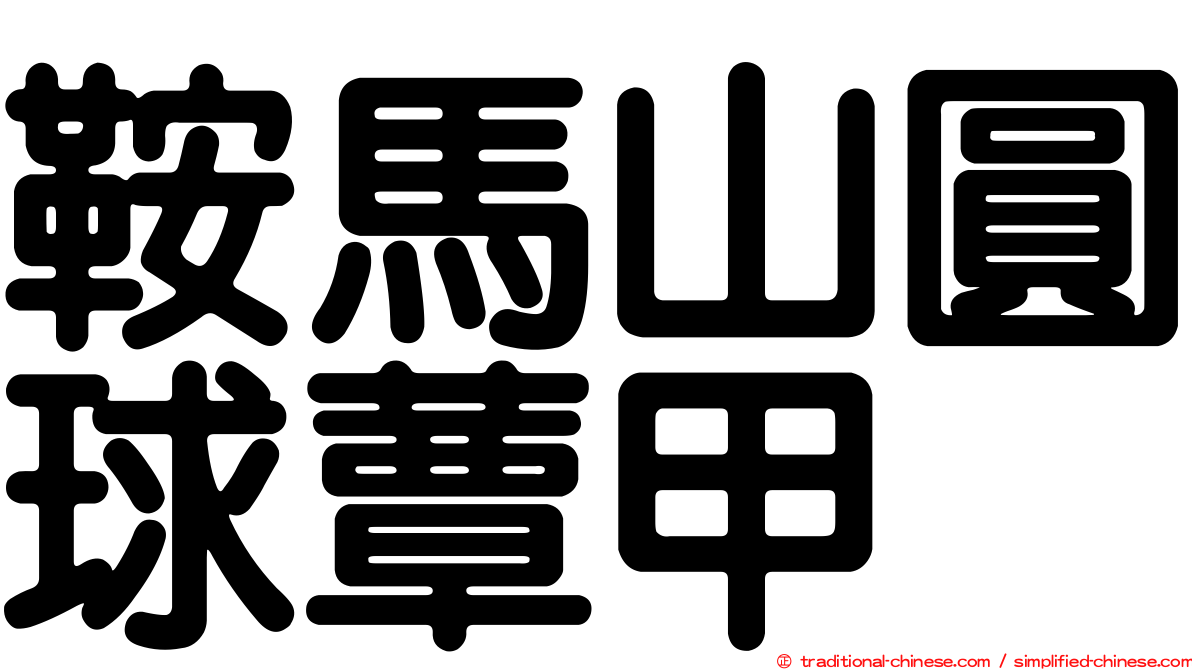 鞍馬山圓球蕈甲