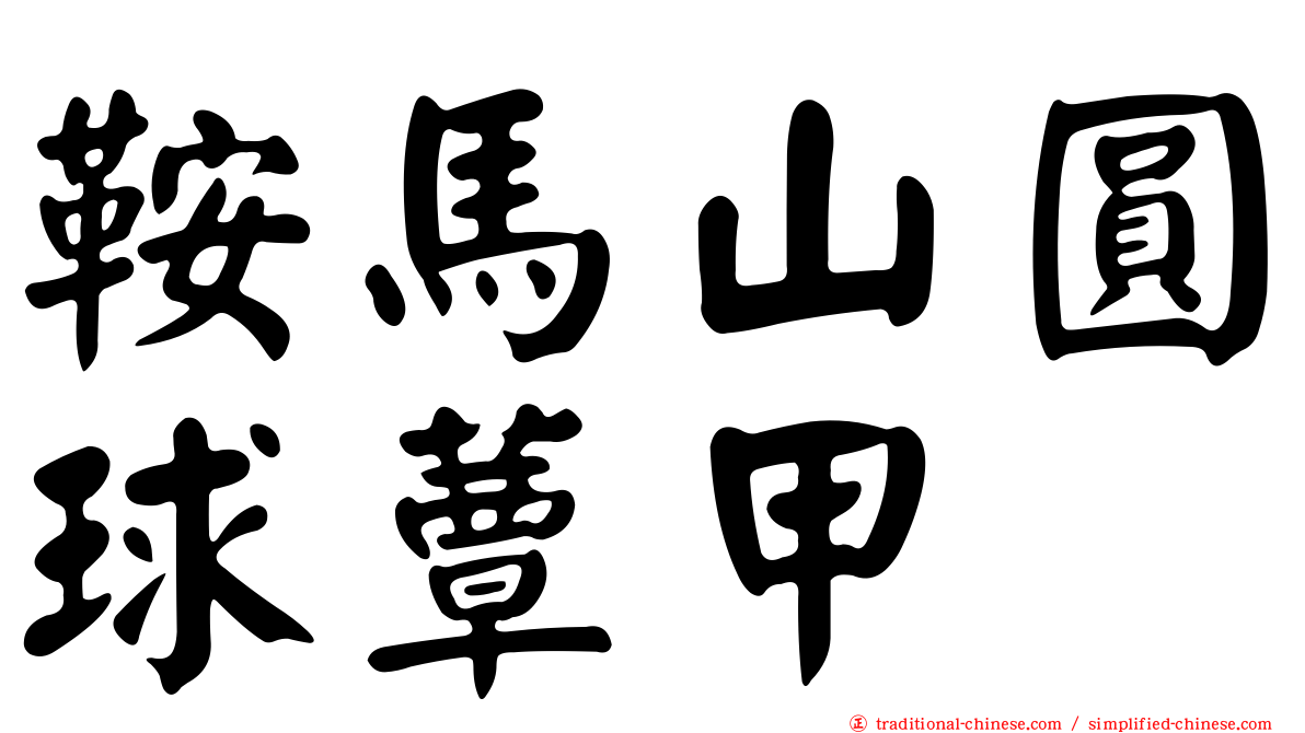 鞍馬山圓球蕈甲