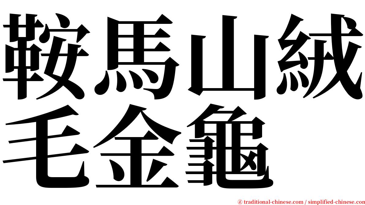 鞍馬山絨毛金龜 serif font