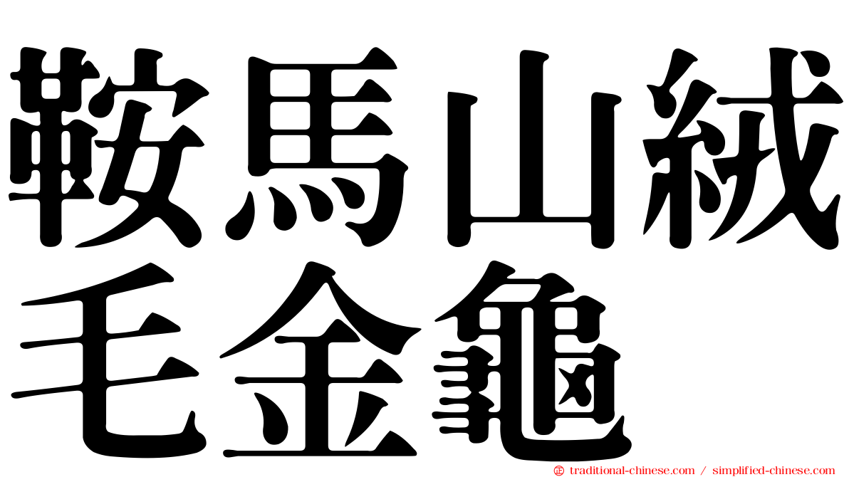 鞍馬山絨毛金龜