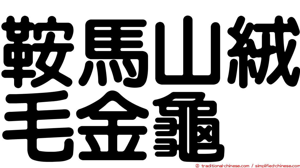 鞍馬山絨毛金龜