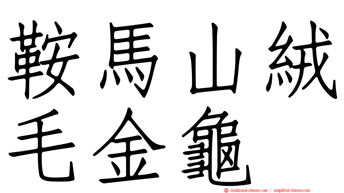 鞍馬山絨毛金龜