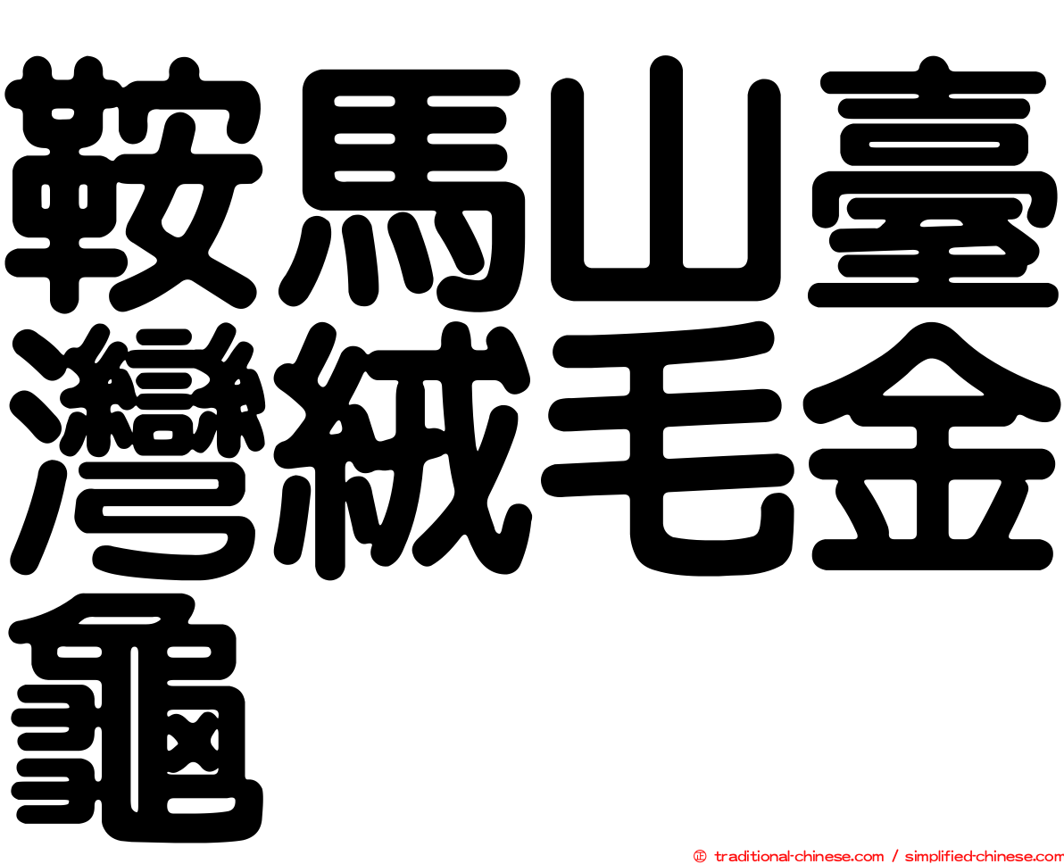 鞍馬山臺灣絨毛金龜