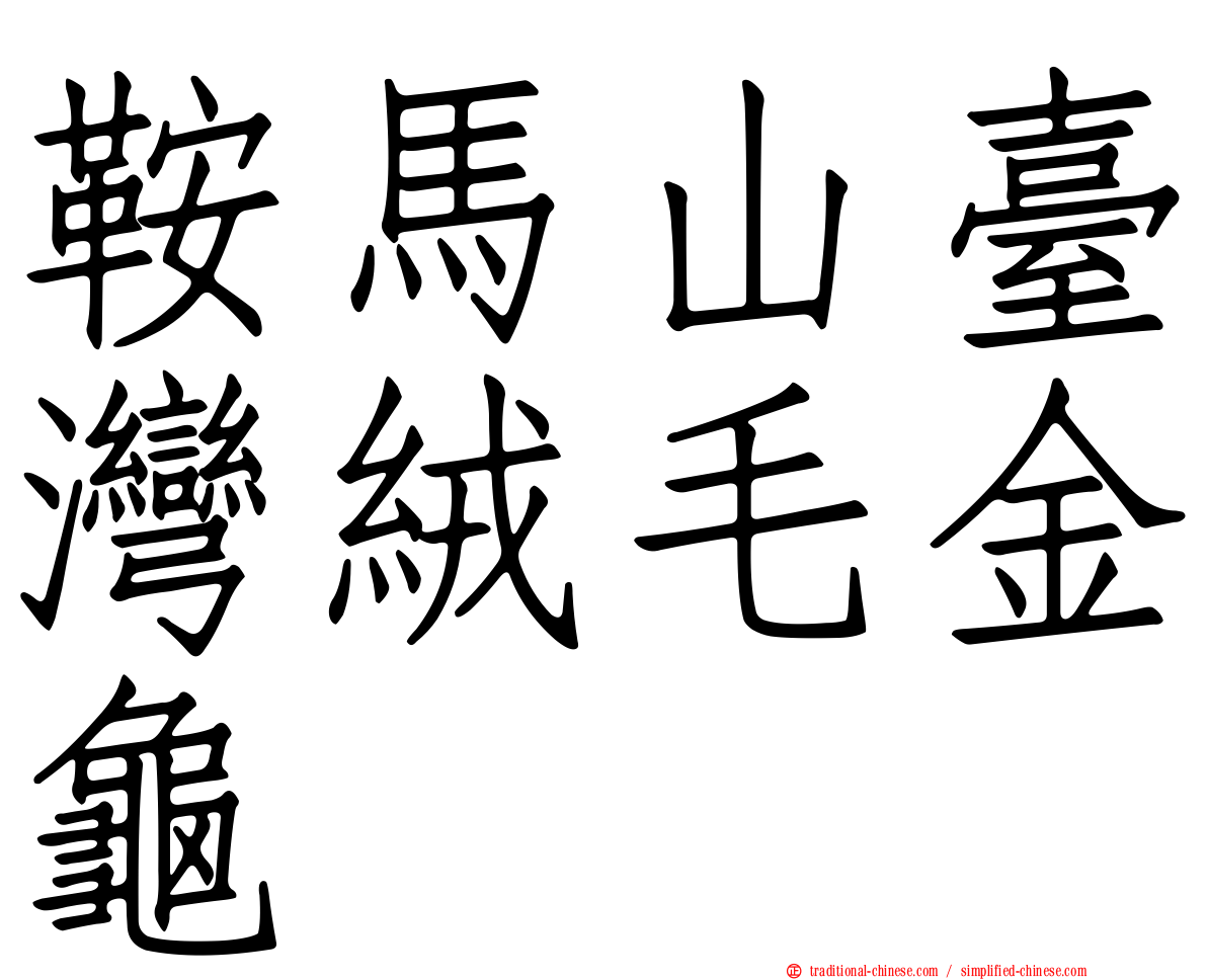 鞍馬山臺灣絨毛金龜