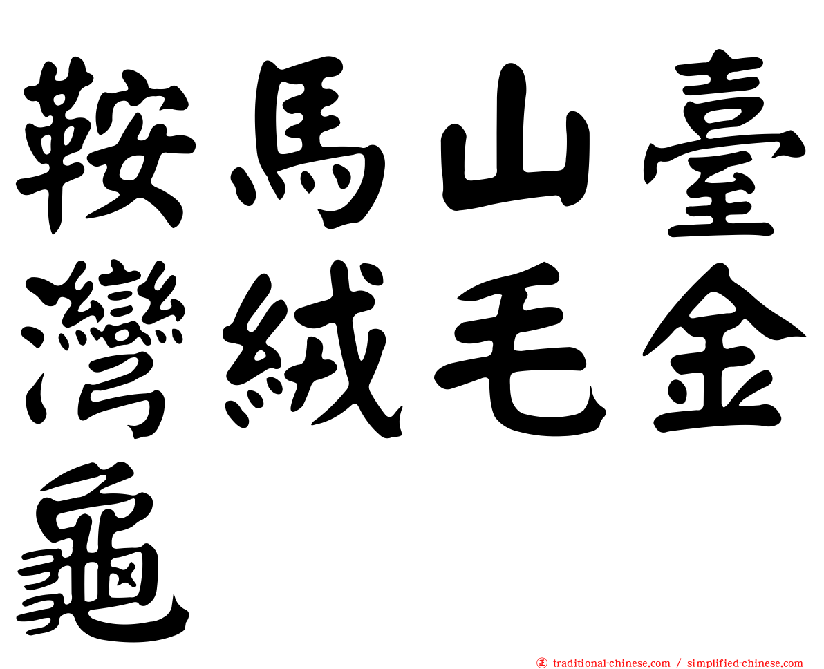 鞍馬山臺灣絨毛金龜