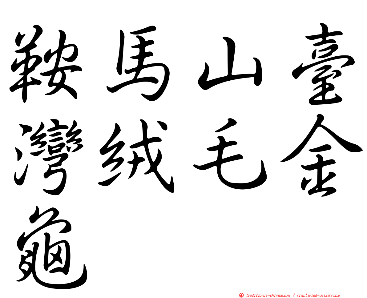 鞍馬山臺灣絨毛金龜