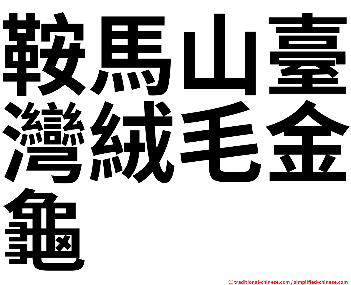 鞍馬山臺灣絨毛金龜