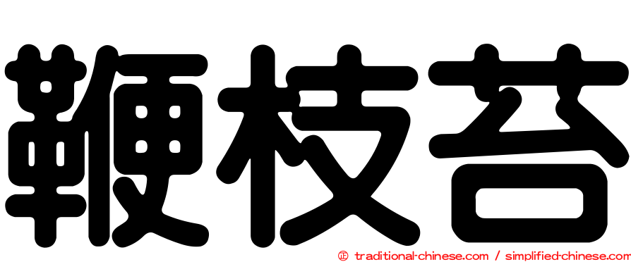 鞭枝苔