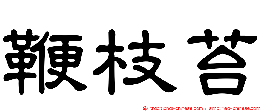 鞭枝苔