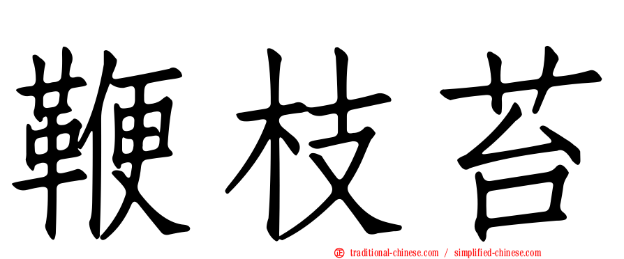 鞭枝苔