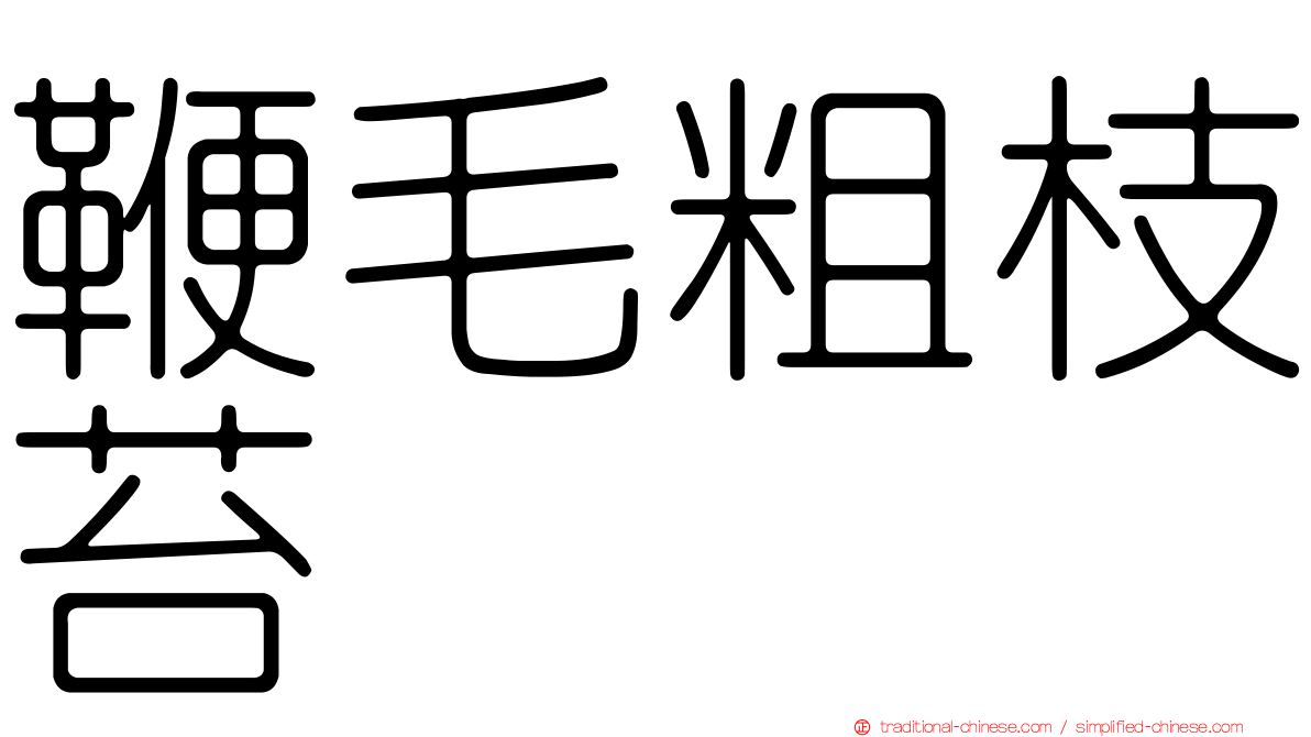鞭毛粗枝苔