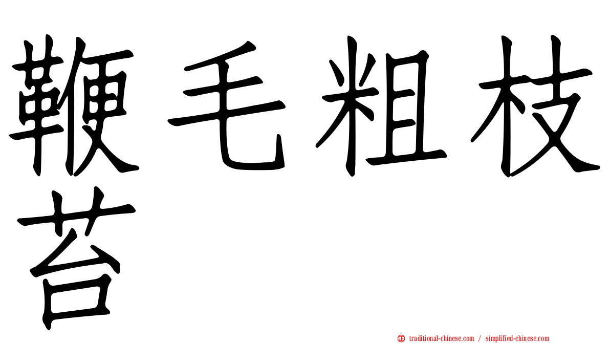 鞭毛粗枝苔