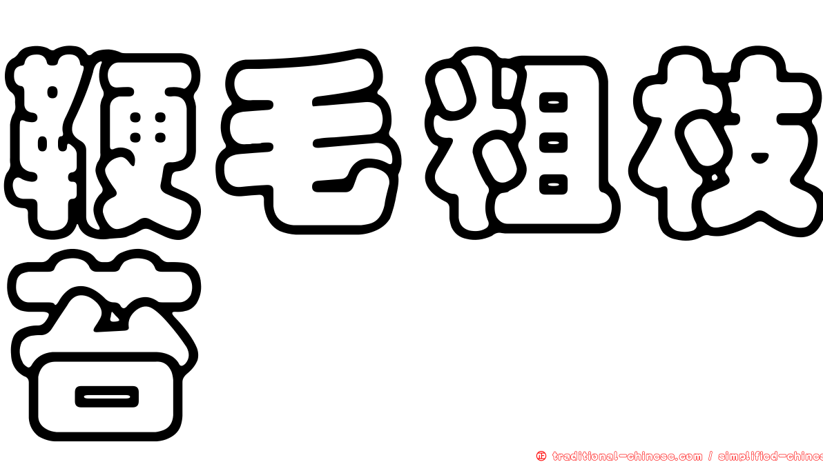 鞭毛粗枝苔